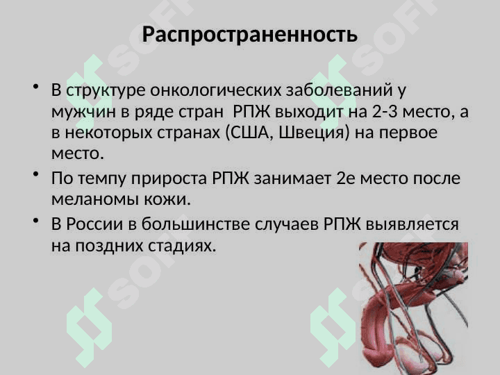 Рак предстательной железы 3