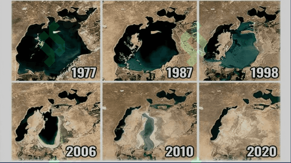 Organizmni muhit bilan o'zaro ta'siri  Organizmning hayot shakllari haqida , biogeosenozlar va ularning tuzilmasi 4