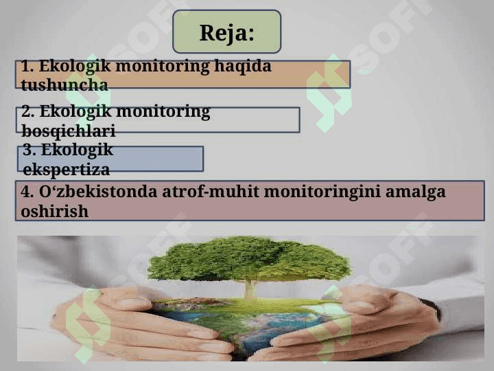 Ekologik monitoringni tashkil qilish 2