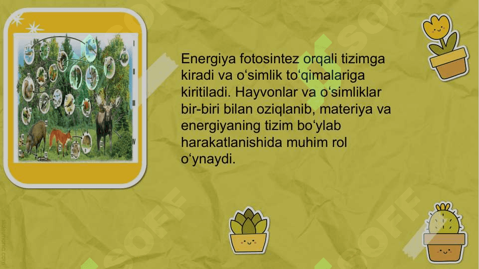 EKOLOGIK TIZIMLAR . BIOTSENOZLAR . BIOINDIKATORLAR 4