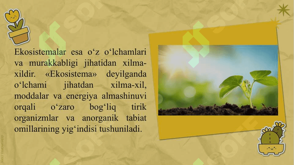 EKOLOGIK TIZIMLAR . BIOTSENOZLAR . BIOINDIKATORLAR 6