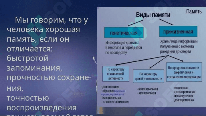 Память и личность 6