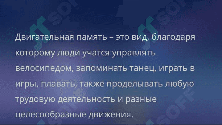 Память и личность 8