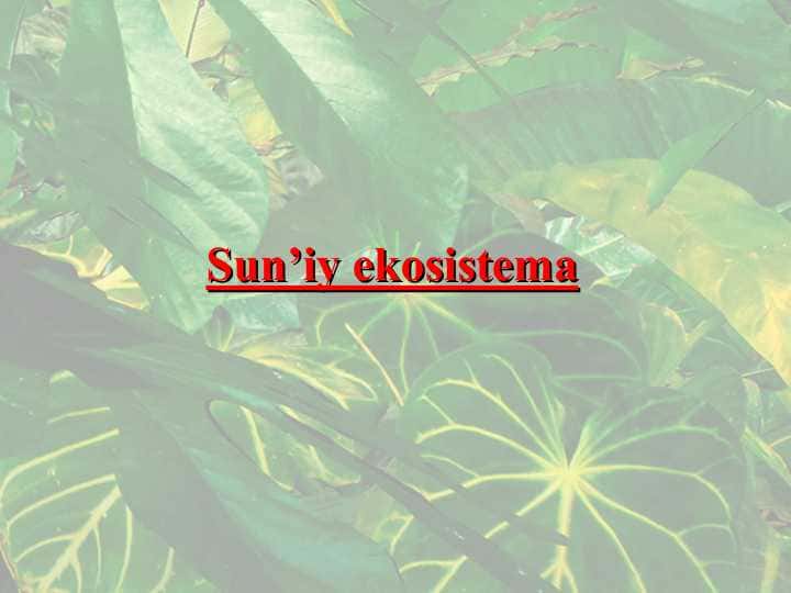 Sun’iy ekosistema