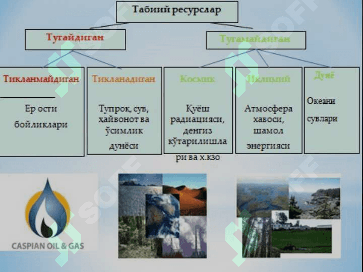 Tabiat resurslari, ularni klassifikatsiyasi, tabiiy resurslardan foydalanish 6