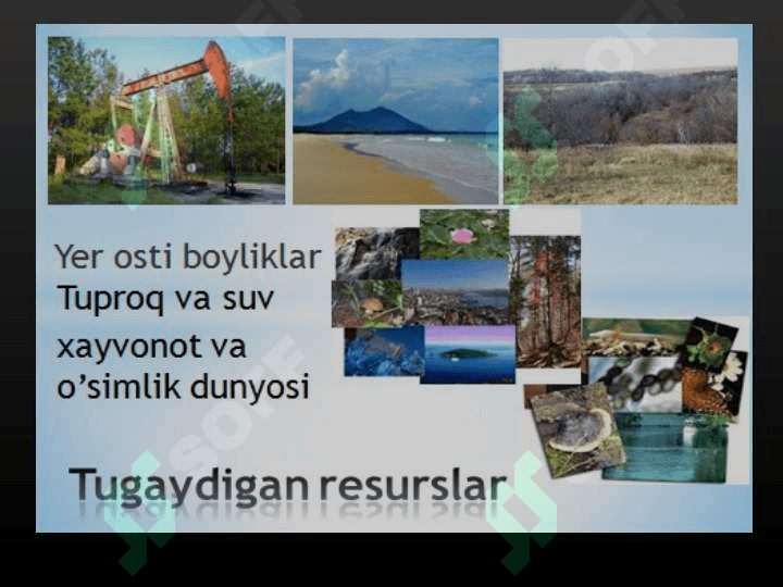 Tabiat resurslari, ularni klassifikatsiyasi, tabiiy resurslardan foydalanish 8