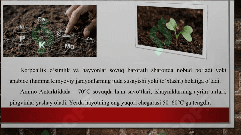 Tuproq muhitidagi abiotik omillar va ularning organizmlarga ta’siri 3