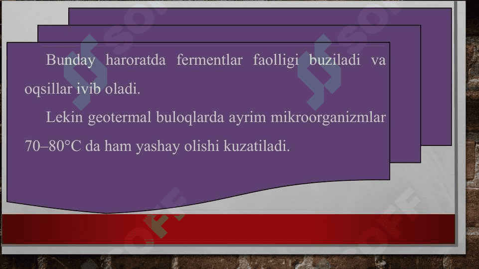 Tuproq muhitidagi abiotik omillar va ularning organizmlarga ta’siri 4