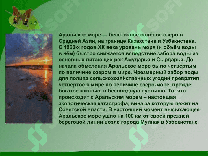 Аральское море и причины его гибели 2