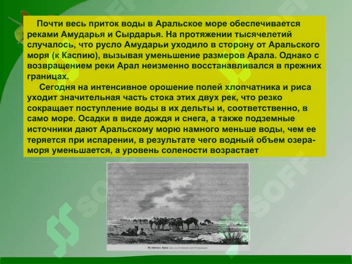 Аральское море и причины его гибели 3