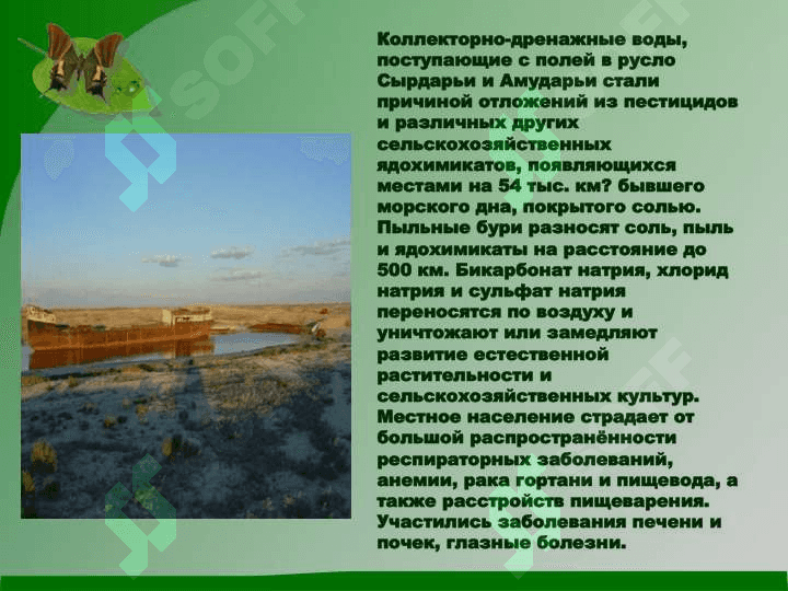 Аральское море и причины его гибели 4