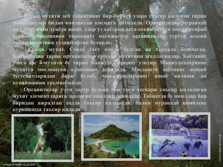 Мухит ва экологик омиллар 6