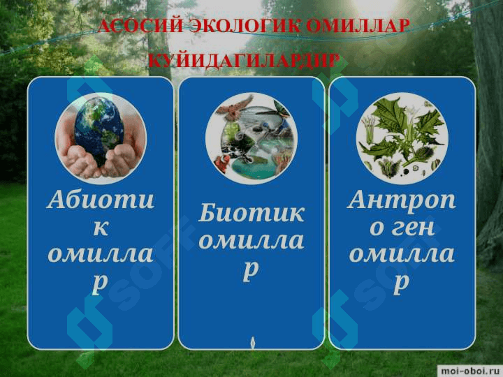 Мухит ва экологик омиллар 8