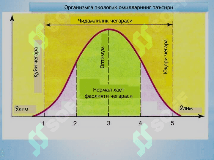 Одам экологияси ва биосфера 7
