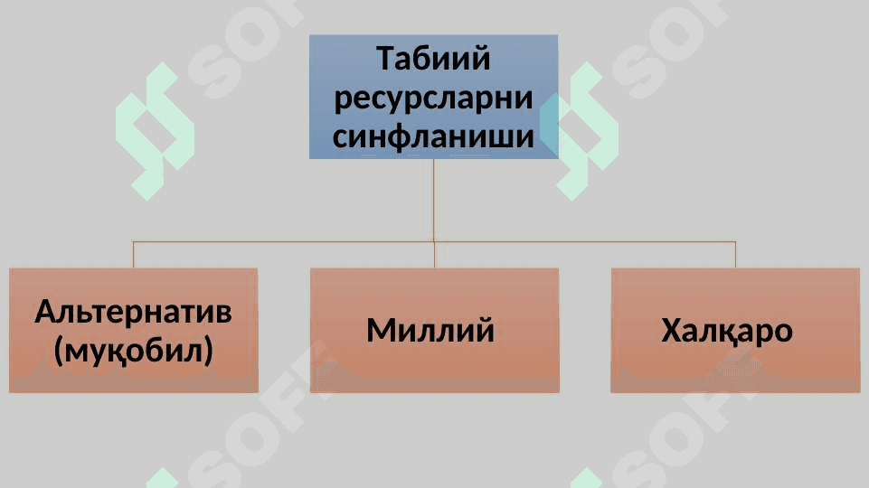 Табиий ресурслар ҳақида тушунча ва уларнинг синфланиши 4