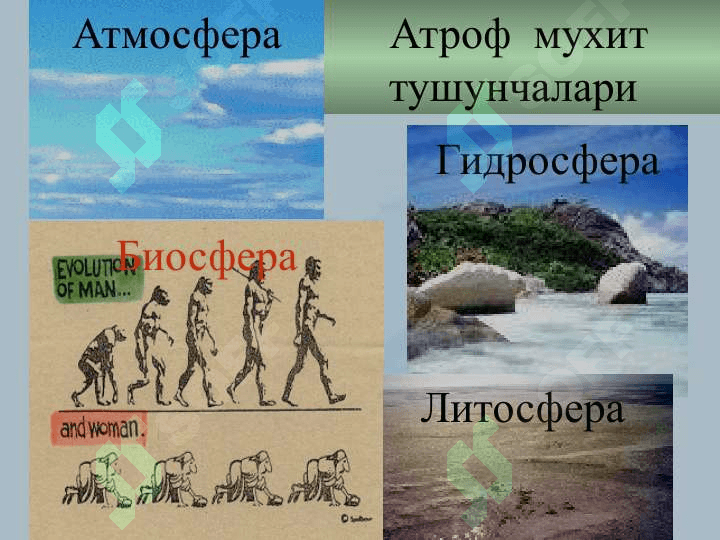 ҲАВО МУҲИТИГА ГИГИЕНИК ХАРАКТЕРИСТИКА 5
