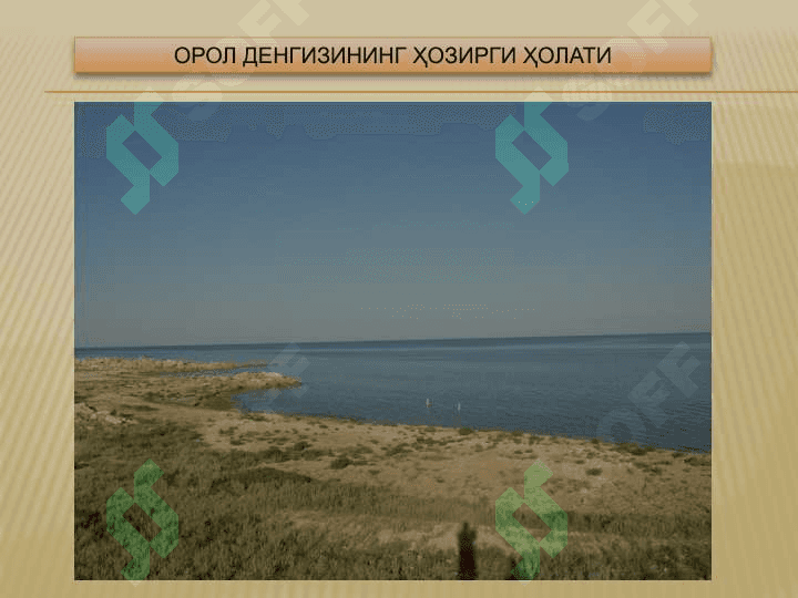 Экологик муаммолар ва экологик маданият 5