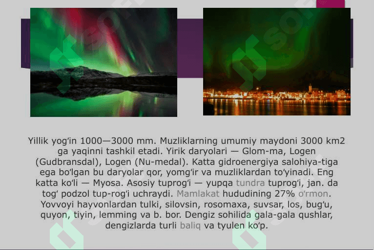 Norvegiya davlati 5