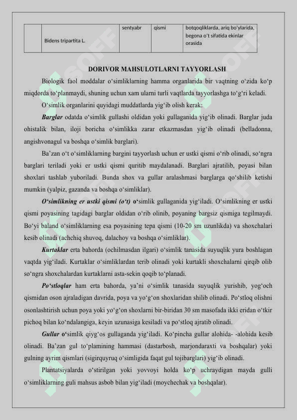 Dorivor o'simlik homashyolarini qadoqlash usullari 7