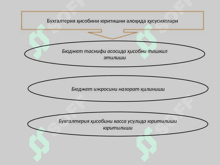 Молия органлари, Ғазначилик ва унинг ҳудудий бўлинмаларида бухгалтерия ҳисобини ташкил этишнинг услубий асослари 8