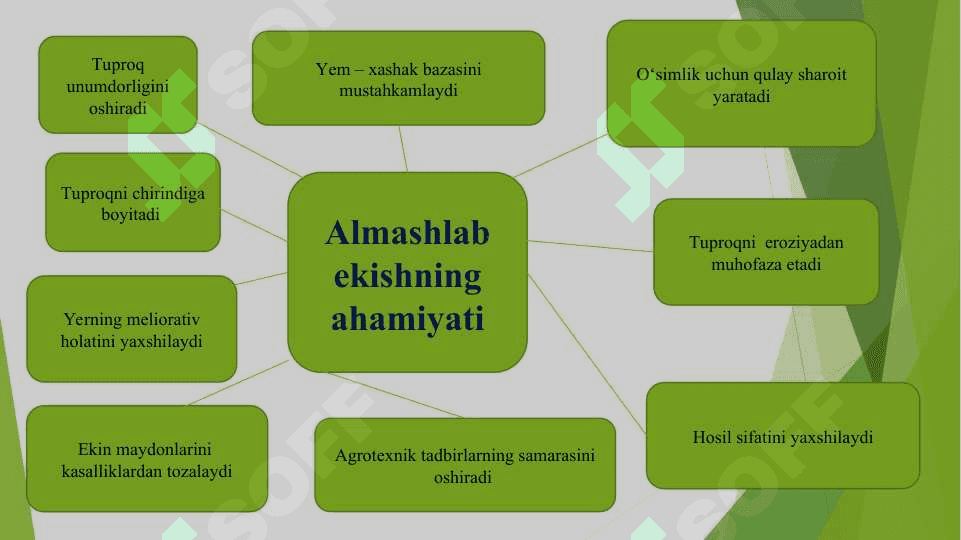 Almashlab ekish sxemalari asosida rotatsiya jadvalini tuzishni о‘rganish 5