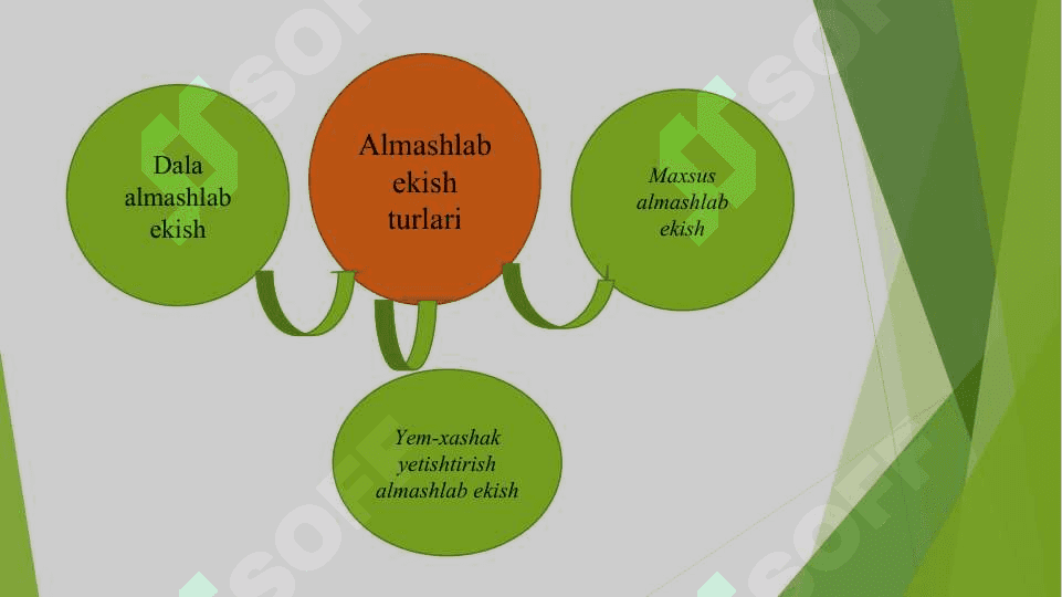 Almashlab ekish sxemalari asosida rotatsiya jadvalini tuzishni о‘rganish 7