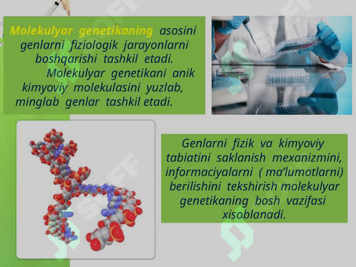 Molekulyar genetika irsiy qonuniyatlar va ulardan foydalanish 3