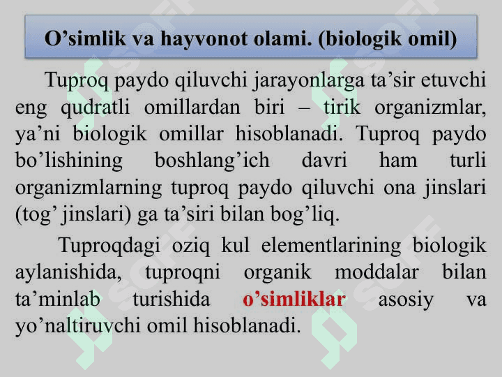 Tuproqlarning tarqalish qonuniyatlari 8