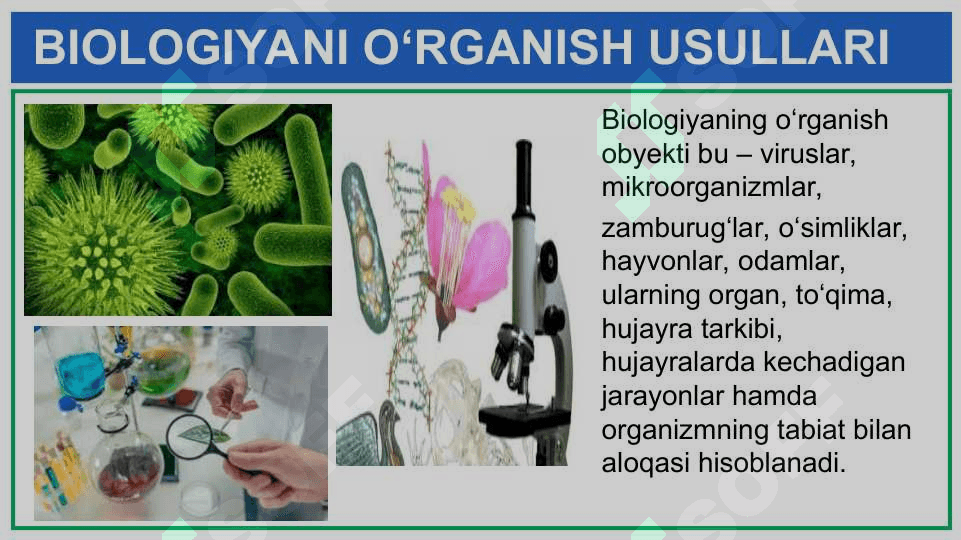 BIOLOGIYANI 2