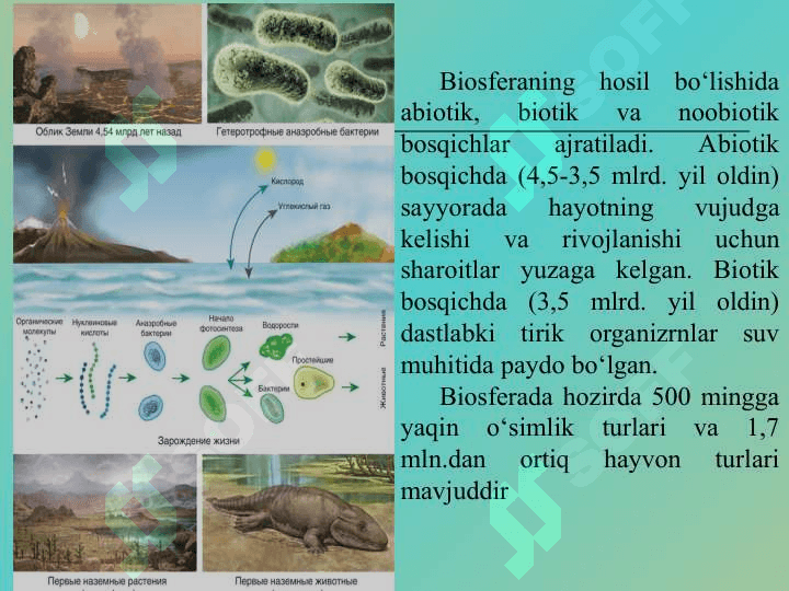 Biosfera va noosfera ta’limoti, biosferaning tarkibi, chegaralari, modda aylanishi va funksiyasi 3