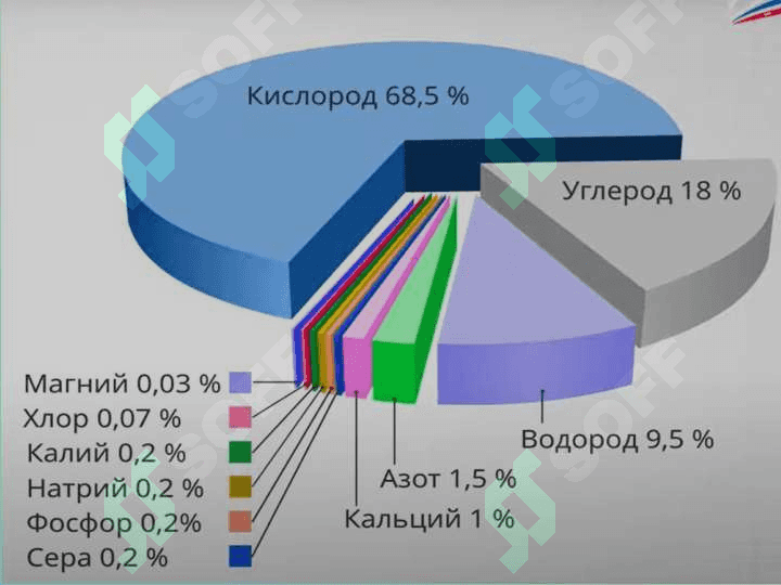 Biosfera va noosfera ta’limoti, biosferaning tarkibi, chegaralari, modda aylanishi va funksiyasi 7