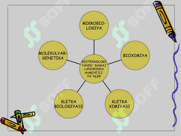 Biotexnologiya 4