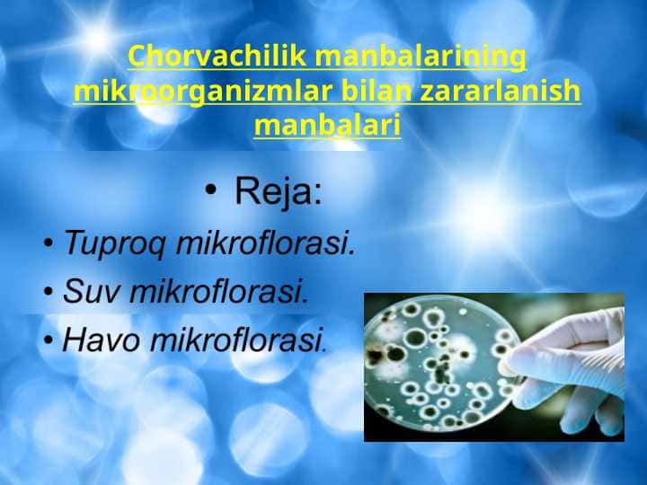Chorvachilik manbalarining mikroorganizmlar bilan zararlanish manbalari