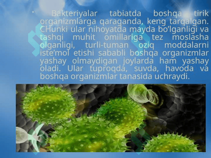 Chorvachilik manbalarining mikroorganizmlar bilan zararlanish manbalari 5