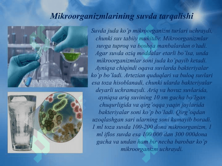 Chorvachilik manbalarining mikroorganizmlar bilan zararlanish manbalari 7