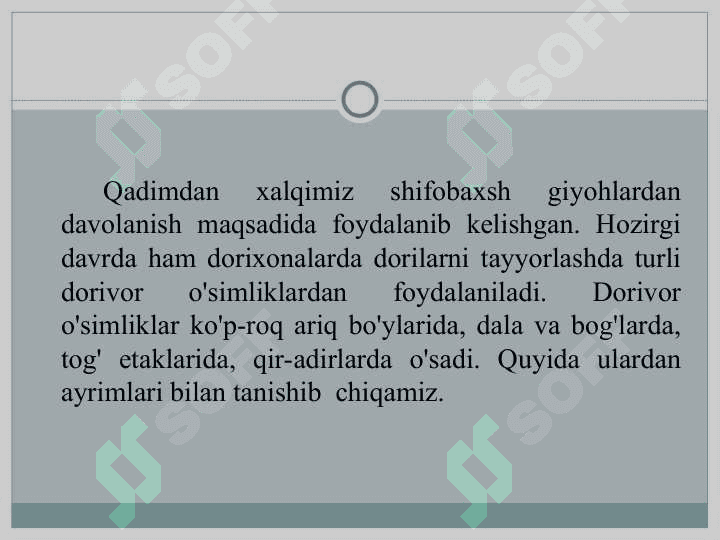 DORIVOR O'SIMLIK 2