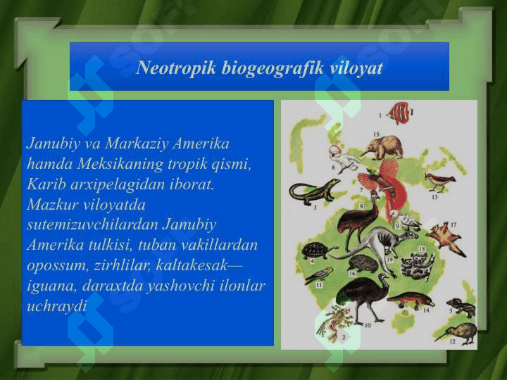 Evolutsiyani isbotlashda biogeografiya fani dalillari 4