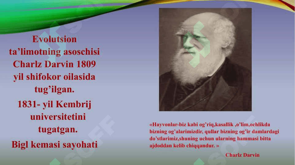 Evolyutsion jarayonlar va ularning umumiy qonuniyatlari. Antropogenez 8