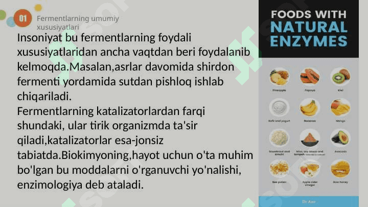 Fermentlar 5