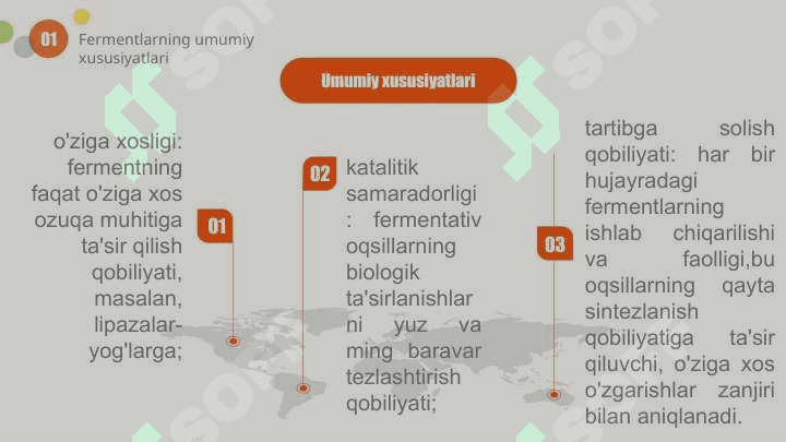 Fermentlar 6