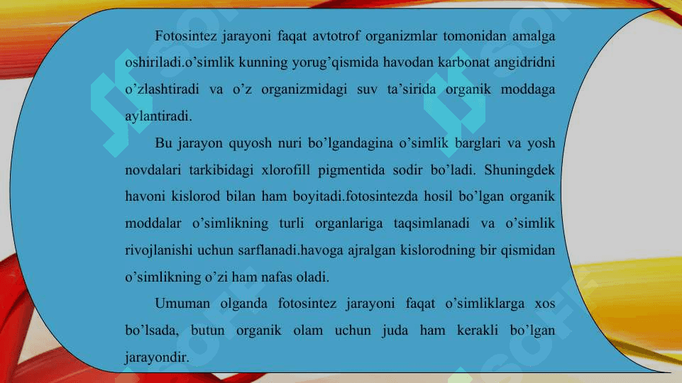 Fotosintezni tabiatda tutgan o’rni 3