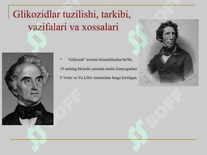 GLIKOZIDLAR 6