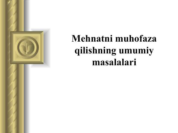 Mehnatni muhofaza qilishning umumiy masalalari