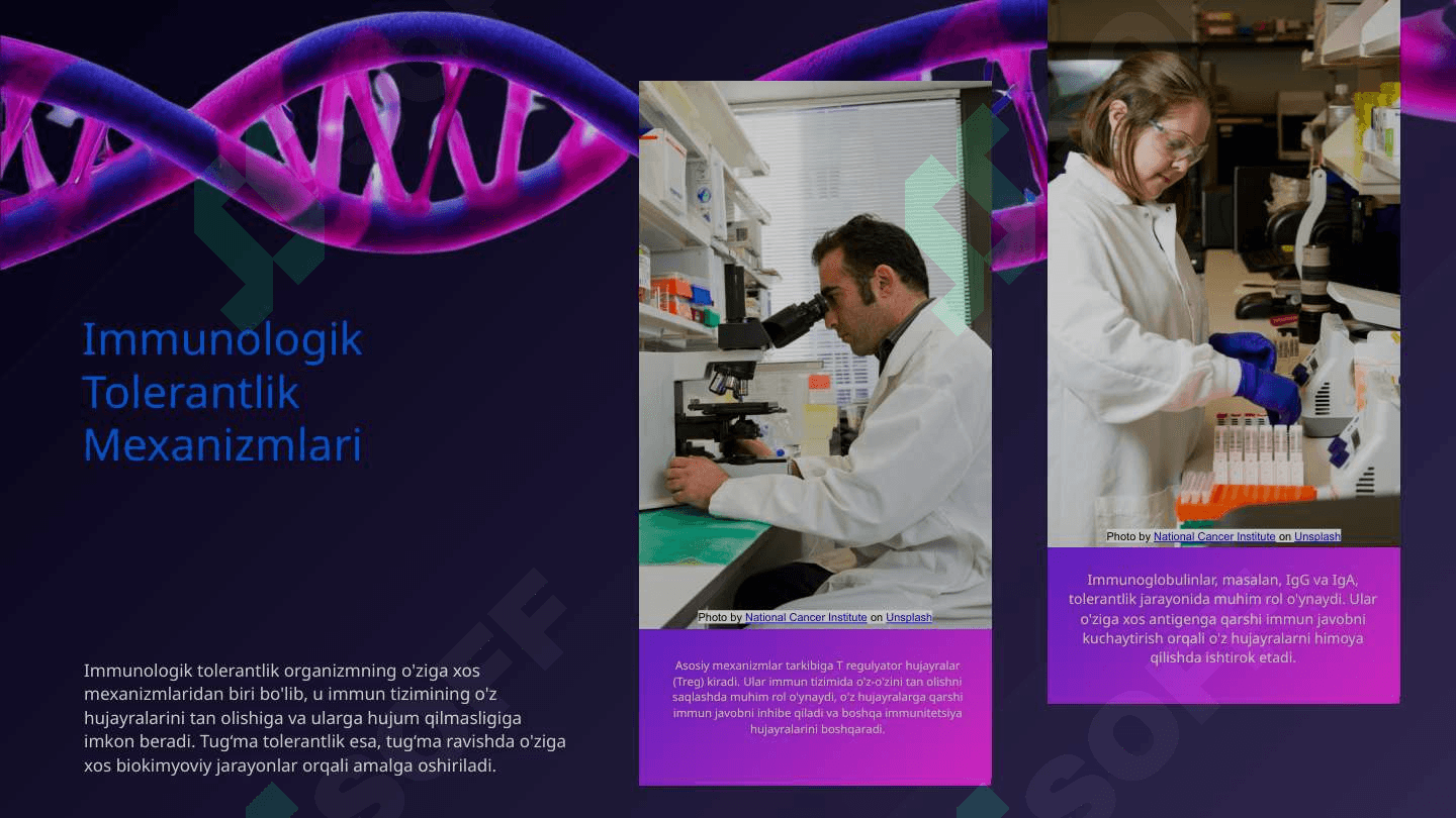 Immunologik tolerantlik. Tug‘ma tolerantlik 6