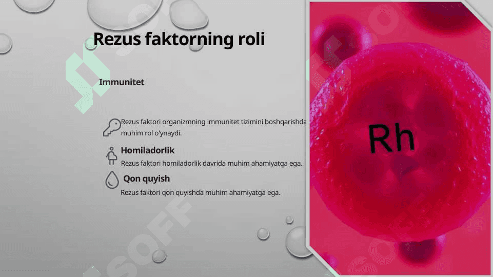 Gemostaz 8