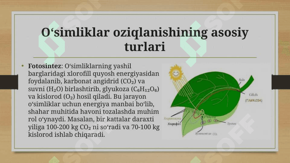 O’simliklar oziqlanishi haqida ilk fikringiz 3