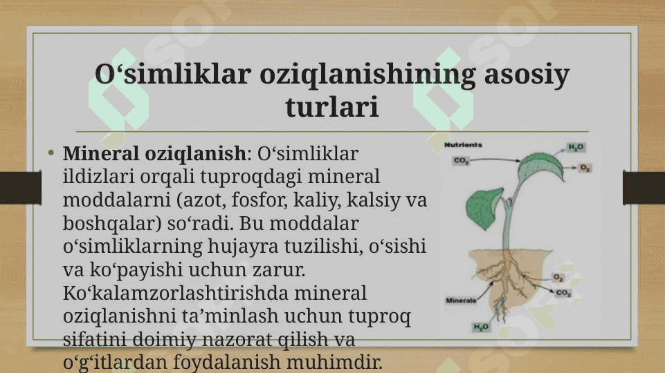 O’simliklar oziqlanishi haqida ilk fikringiz 4