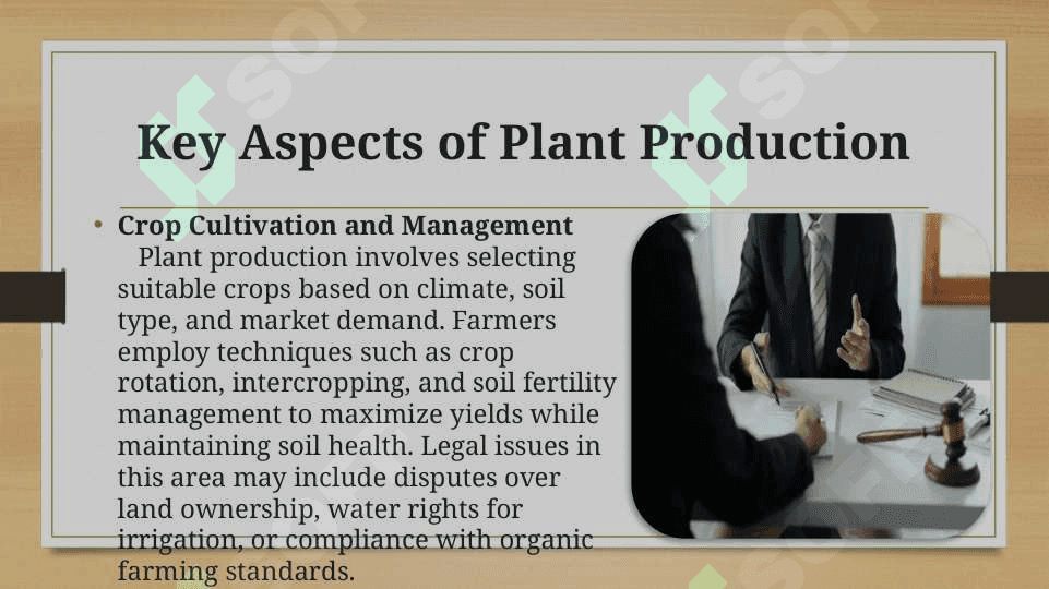 Plant Production 3