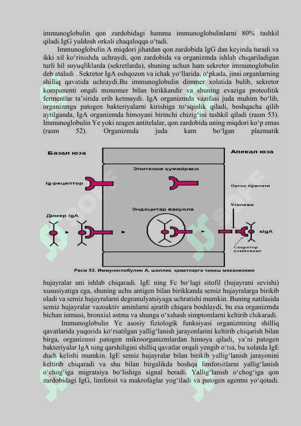 Antigen va antitelalar. Immunologik reaksiyalar, ularning tarkibiy qismlari (antigyenlar, antitelalar), qo‘yishdan maqsad. Diagnostikum va diagnostik zardoblar xaqida tushuncha. Diagnostik zardoblarni olish usullari 4