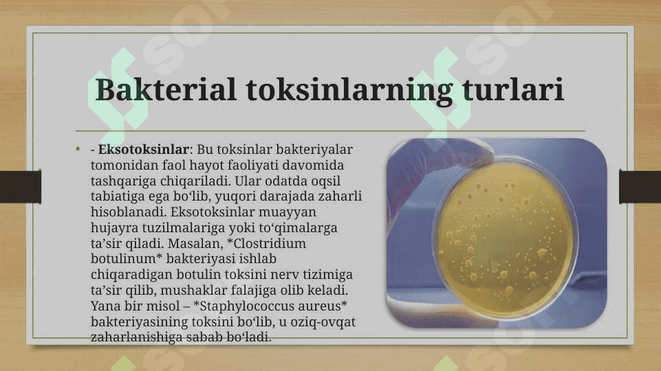 Bakterial taksikoz 3